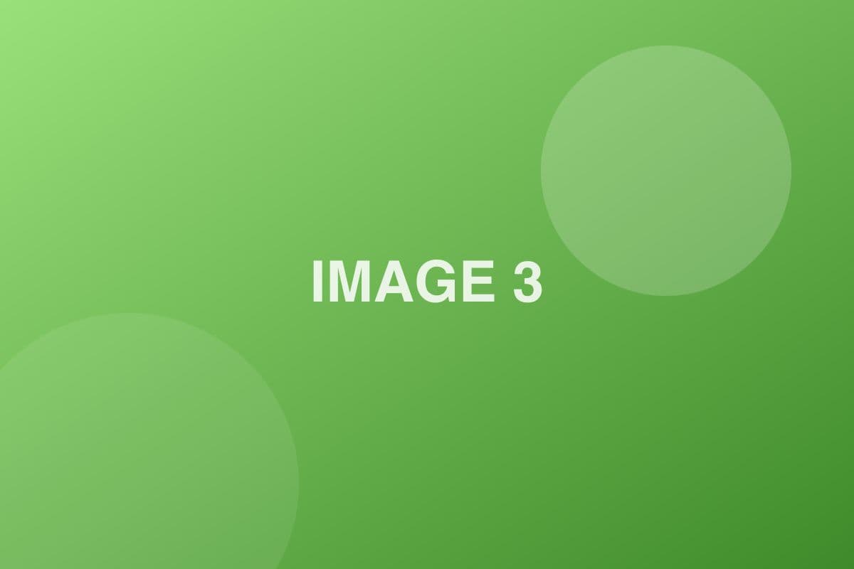 image-3.jpg